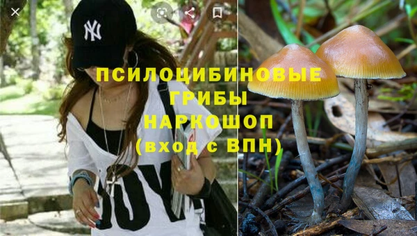 прущая мука Сафоново